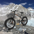 20 in Mountain Bike for 7 15 Years Old, 7 Speed Kids Bike with High Carbon Steel Frame, Fat Tire and Dual Disc Brake, Front Suspension Mountain